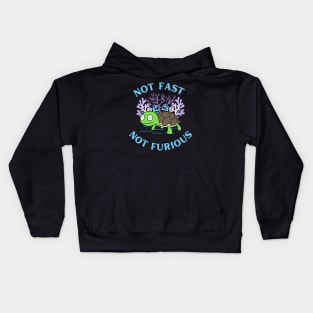 Not fast not ferrous with turtle Kids Hoodie